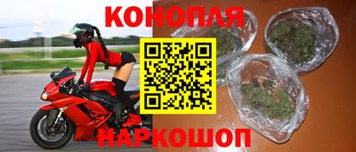 прущие грибы Каменск-Уральский