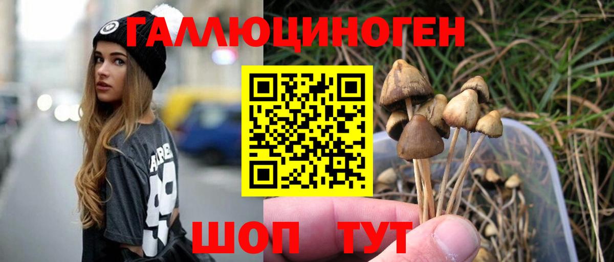 купить наркоту  Псилоцибиновые грибы Magic Shrooms  Вход с VPN  Кстово 